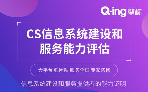 信息系统建设与服务能力评估 信息技术咨询服务的核心价值