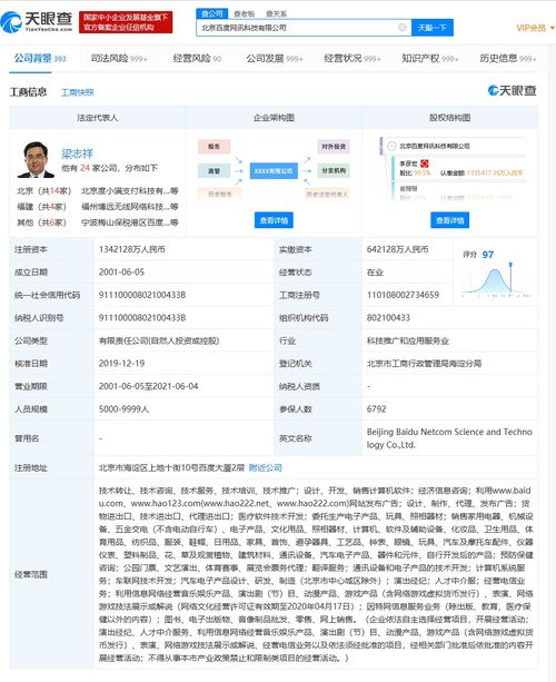 带有应用软件界面的手机专利授权及其在信息技术咨询服务中的价值